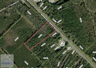 9.33 AC E Oglethorpe Hwy, Flemington, GA 31313
