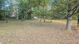 428 Pinnacle Ct, Deep River Township, MI 48749