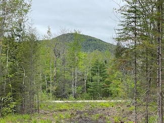 Lot 11-A Misty Ln, Brownfield, ME 04010