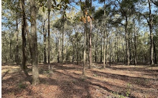 0 Tbd 216th Terrace, Obrien, FL 32071