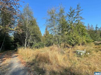 9999 Pearce Rd, Port Angeles, WA 98362
