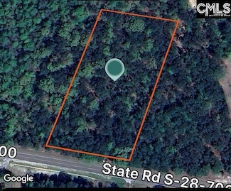 480 Eskie Dixon Rd, Elgin, SC 29045