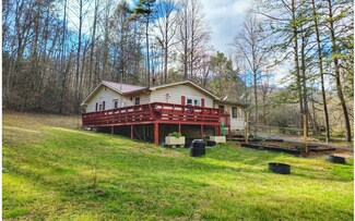 109 John Waters Rd, Cherry Log, GA 30522