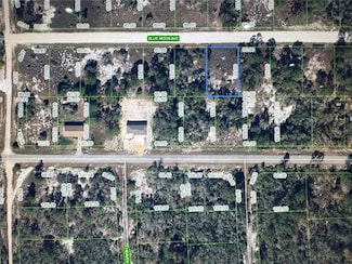 325 Blue Moon Ave, Lake Placid, FL 33852