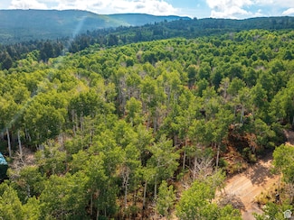 2919 Green Briar Way Unit 543, Timber Lakes, UT 84032