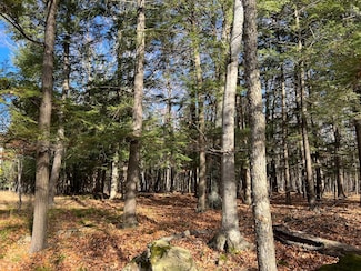 TBD Cliff View Dr, Nasewaupee, WI 54235