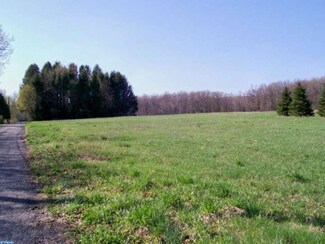 0 Back St Unit 1003191552, Rush Township Mahanoy, PA 18214