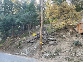29 Forest Ln, Twin Peaks, CA 92352