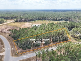 15531 Forest Grove Dr, Willis, TX 77378