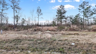 7145 Road 5878, Cleveland, TX 77327