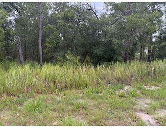 0 Locust Ln Unit MFROM707955, Ocala, FL 34472