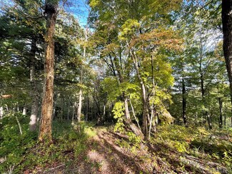 Lot A23 Hunter Jim Creek Rd, Cullowhee, NC 28723
