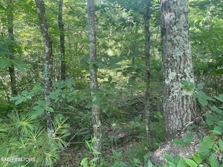 Lot 71 Hazelnut Ln, Sevierville, TN 37876