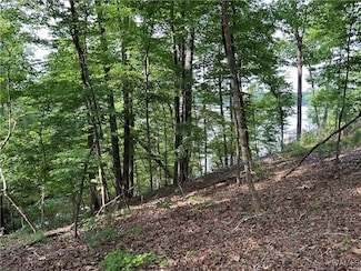 0 lot 52 Highpoint Cove, Northport, AL 35475