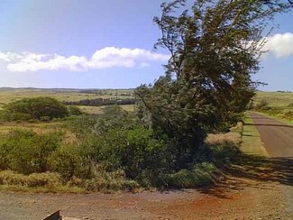 0 Kalua Koi Rd Unit Lot 48 365849, Maunaloa, HI 96770