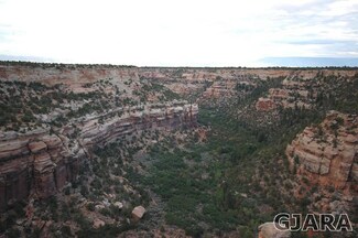 4150 Rim View Ct, Glade Park, CO 81523