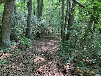 TM 23-76 Arrington Mountain Rd Unit 76, Haywood, VA 22722