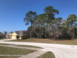 13363 Newcastle Ave, Spring Hill, FL 34609