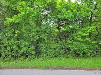 6002 Sewickley Dr, Jamesville, NY 13078