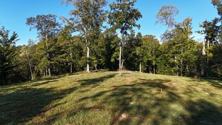 3725 Mobley's Cut Rd, Thompson's Station, TN 37179