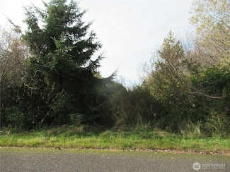 8 Driftwood Dr, Ocean City, WA 98569