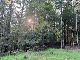 TBD Cranberry Creek Rd Unit 15, Laurel Springs, NC 28644