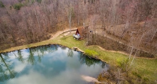 231 Opus Ln, Amherst, VA 24521