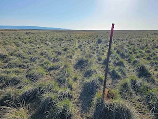 2350 Kunae Rd E, Declo, ID 83323