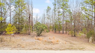 25000 Hub Rd, Paron, AR 72122