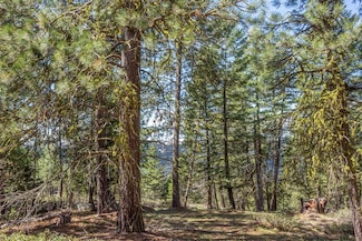 161 Little Donner Dr Unit 14, Cascade, ID 83611