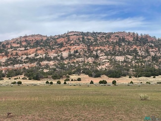 TBD Box South Ranch Rd, Ramah, NM 87321