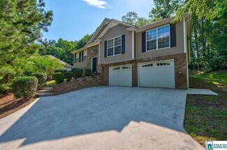 1023 Mountain Lake Rd, Warrior, AL 35180
