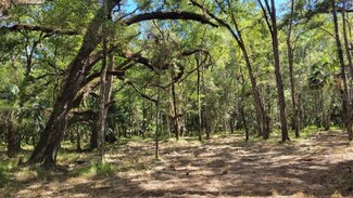 10ac (#2) NE 90th St Rd, Fort Mc Coy, FL 32134