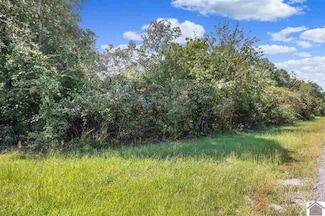 Lot #90 Pelican Ln, Murray, KY 42071
