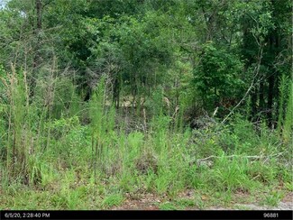 10603 NE 90th St, Gainesville, FL 32609