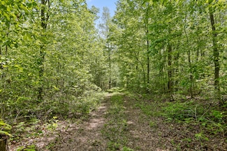 10 Acres Blaine Smith Rd, Graysville, TN 37338