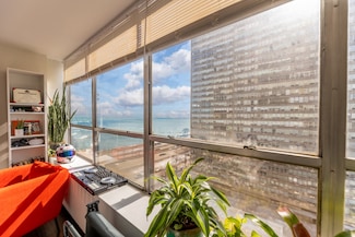 4800 S Chicago Beach Dr Unit 1210N, Chicago, IL 60615
