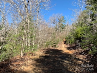 000 Elkin Rd Unit 18, 19, Bakersville, NC 28705