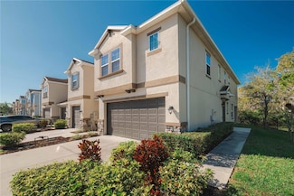 6732 Rocky Park St, Tampa, FL 33625