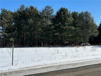 0 Cross Rd Unit R1589827, Reading, NY 14891