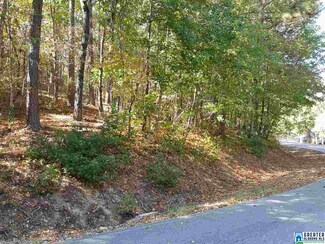 0 N River Dr Unit 779441, Shelby, AL 35143