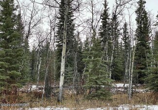 L11 Tazlina Loop, Glennallen, AK 99588