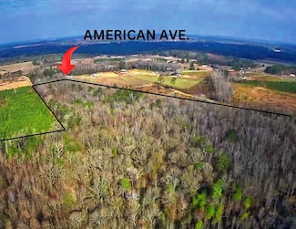0 Tbd American Ave, Turbeville, SC 29162