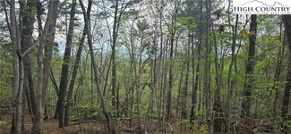 000 Chrosaro Place, Lenoir, NC 28645