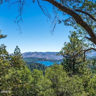 189 Mill Pond Rd, Lake Arrowhead, CA 92352
