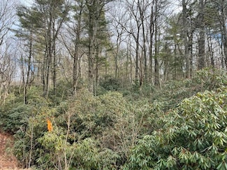 TBD Cascade Mountain, Fancy Gap, VA 24328
