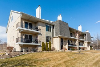 9066 Del Prado Dr Unit 2N, Palos Hills, IL 60465