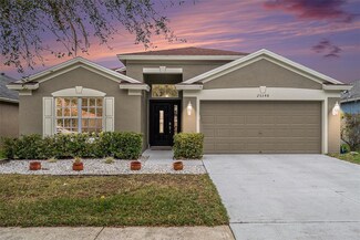 25348 Flying Ebony Ln, Wesley Chapel, FL 33544