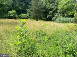 1351 Baltimore Pike, Chadds Ford, PA 19317