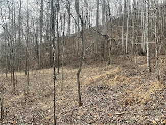 000 Martins Creek Rd, Barnardsville, NC 28709